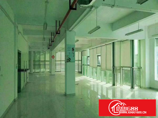 x坪山新出独院3000平方