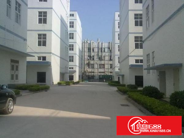 龙岗宝龙厂房出租800平2000平带电梯精装修