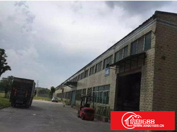 坪山深汕路2800平米钢构仓库空地大急租！！！