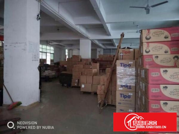 坂田南坑村生活中心处，厂房500平方出租只租舞蹈培训和纯办公