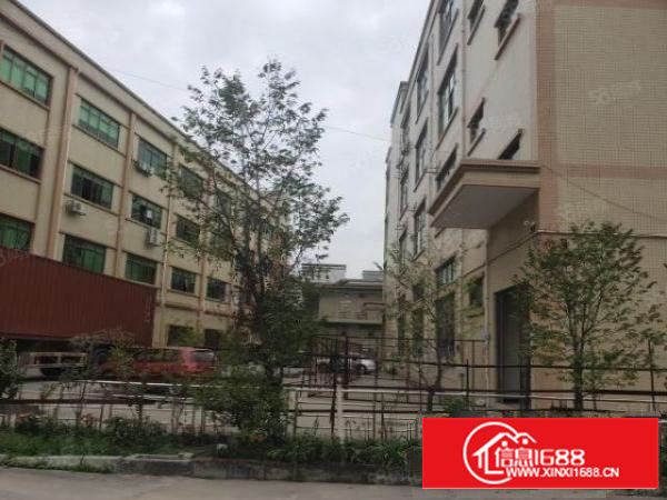 石排李家坊原房东标准工业园分租三楼1480平方，带豪华装修