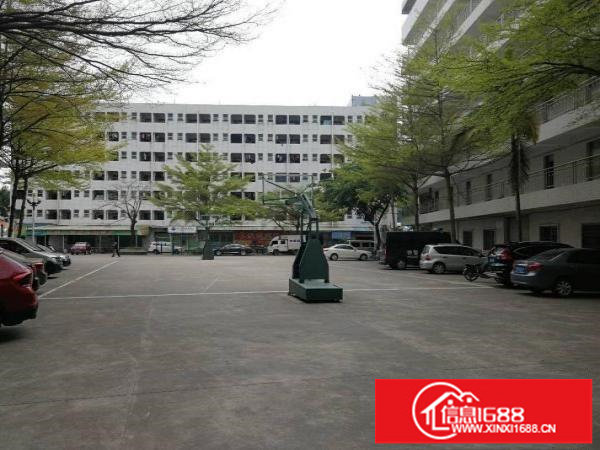 实拍布吉上水径独院厂房一楼仓库1480平楼上可分租