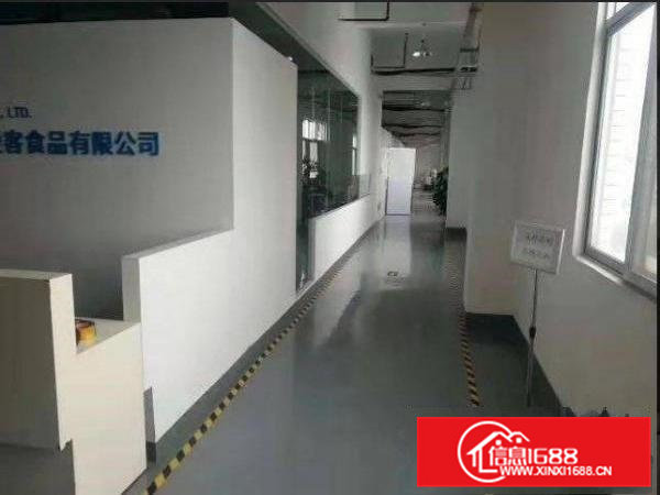 横江独栋小厂房900平方出租，带精装修