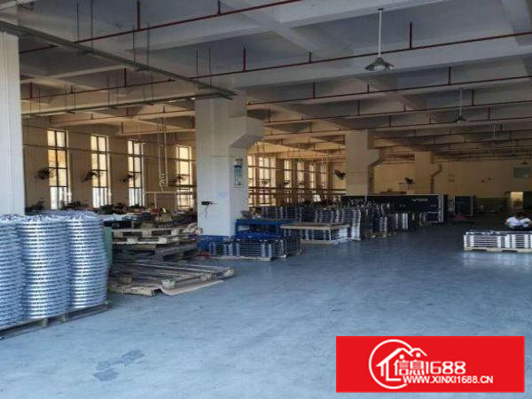 冼沙村新出一楼层高6米800平带牛角位厂房出租