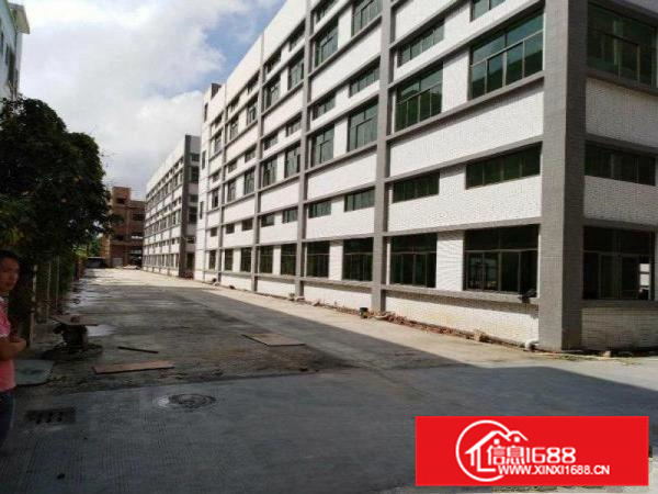 泰美镇全新独院约33000平方红本重型工业厂房招租合同15年