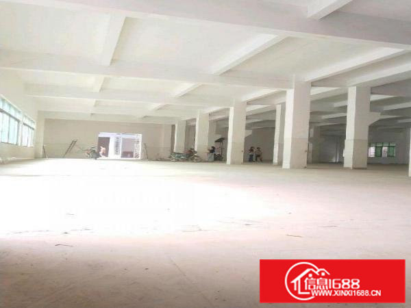 大朗新马连标准厂房出租，带水电装修，可直接生产