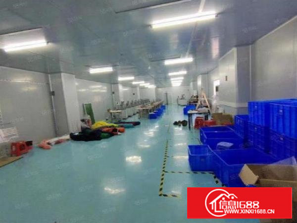 塘厦桥陇社区原房东无尘车间600平出租带精装修有红本