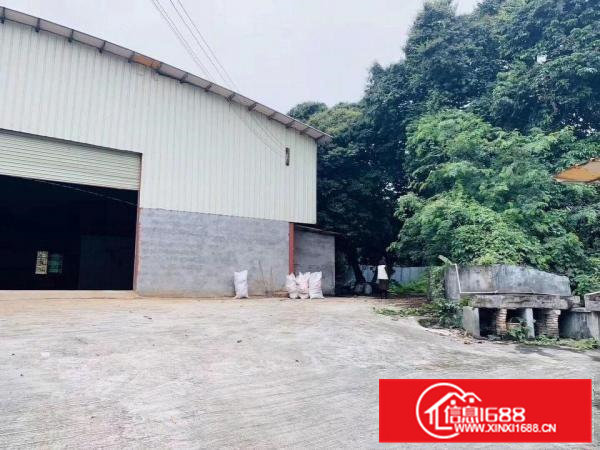 南栅小独院1200平米厂房出租！园林式独院厂房！6.5米高！