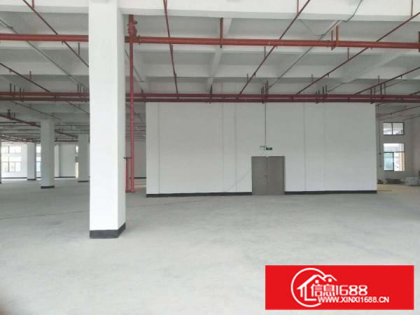 可做商业可做厂房！带消防喷淋！全新独院厂房出租！