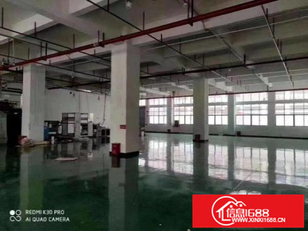 光明蒋石花园式厂房一楼带装修，形象佳空地大，可办环评