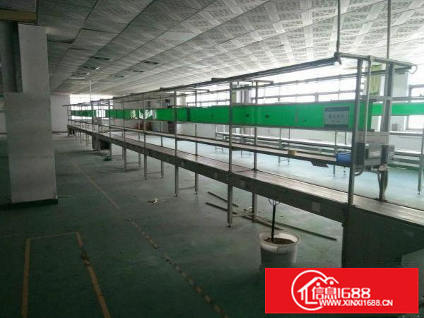 新田新出3楼1300平方带装修