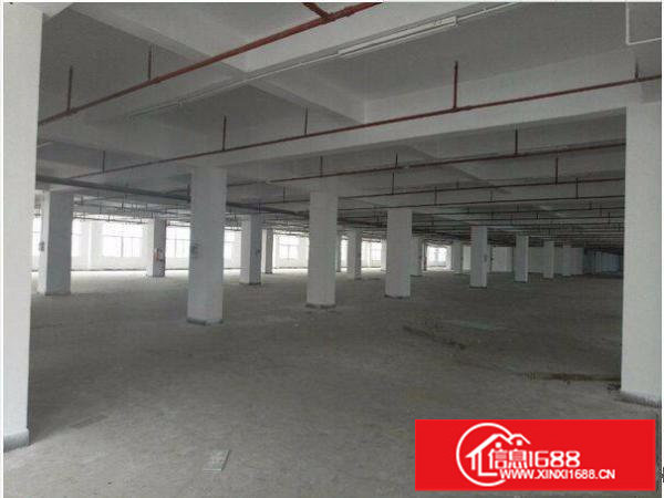 布吉坂田上雪科技园一楼1200平方招租