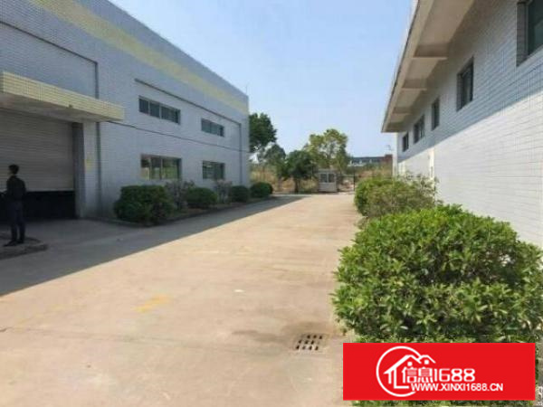 大亚湾原房东11米高独院单一层厂房招租