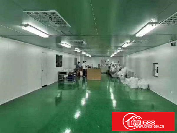 无尘车间，1300平。价格好。搬机生产