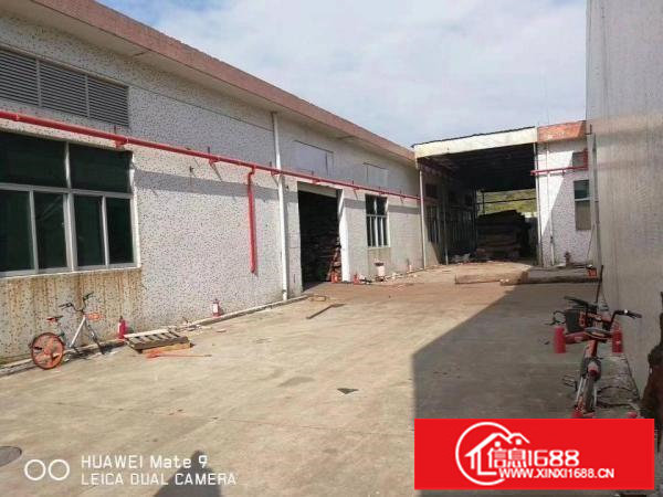 龙岗区坪地六联独院7米钢构1200平方米招租（有红本）