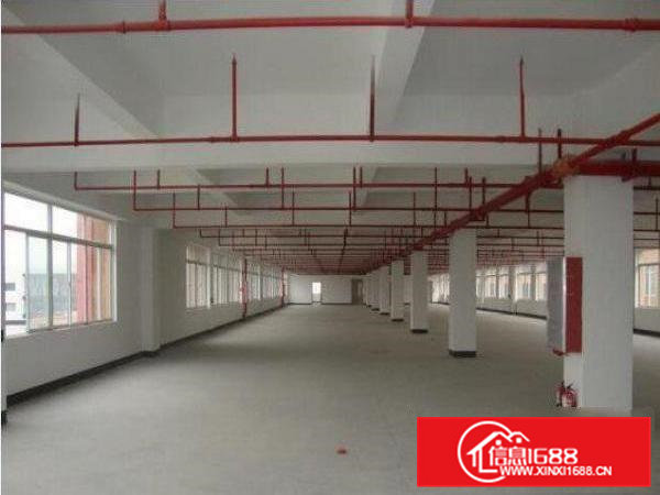 万江莫屋新出1楼1300平米水电齐全精装修出租形象好停车位