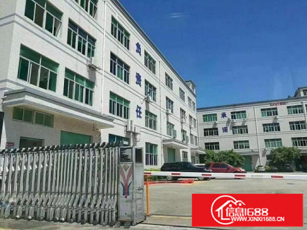 坪山新出独院厂房6500平方宿舍1500平方