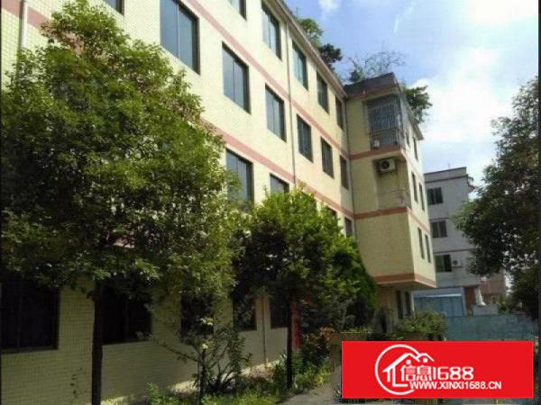 凤岗6.5米高一楼1500厂房出租做塑胶机械五金