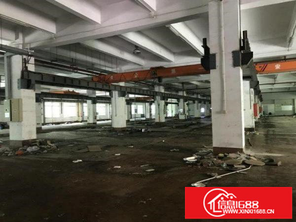 出租布吉丹竹头新出900标准一楼带牛角行车