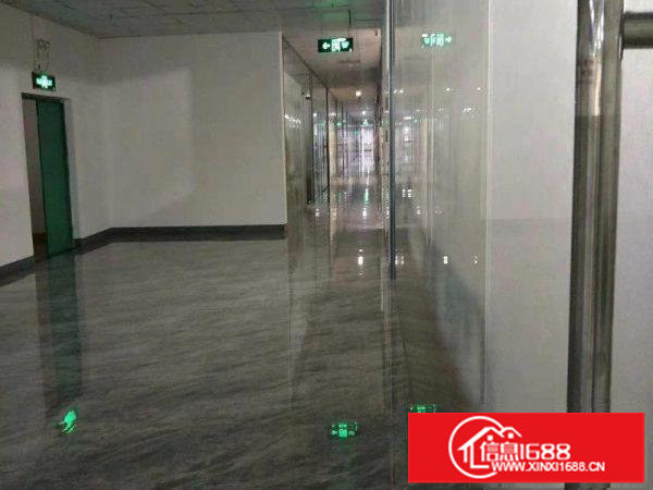 横岗街道办边楼上精装电商办公室250平米招租