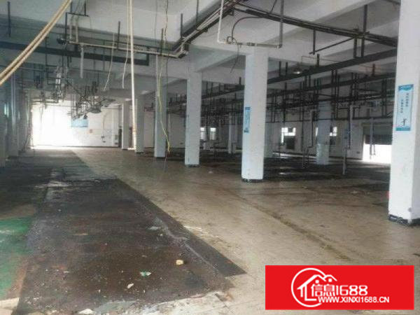 带水电装修）凤岗雁田3000平方米独院厂房出租