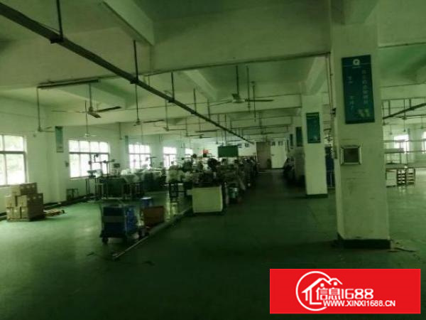 观澜带装修厂房830平米出租