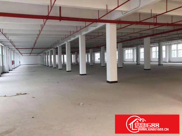 原房东带线路板牌，照厂房出租双面电路板标准厂房形象超靓