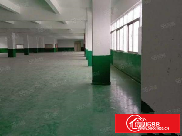 全石排镇有价值的厂房在这里（原房东超大空地独院标准厂房）