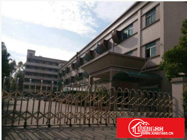 横岗嘉华路一楼2000平方标准厂房带装修特价