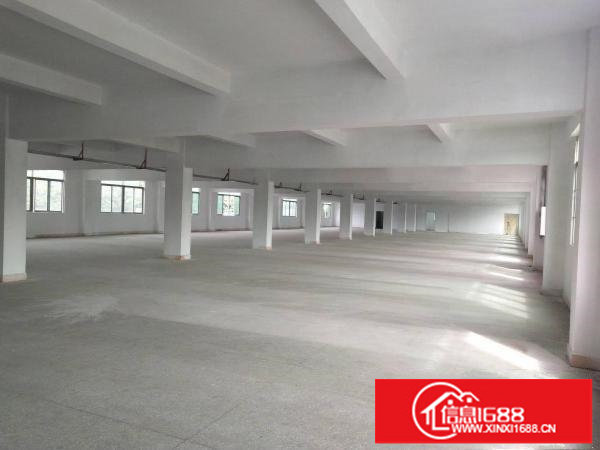 布吉上李朗带装修6米高一楼810平米厂房出租