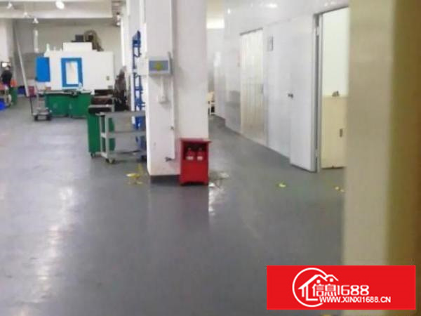 出租龙华大浪一楼整租1300平方，价格可谈