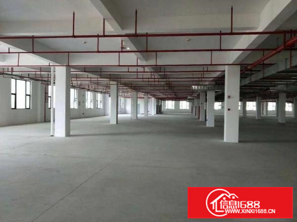 横沥镇工业区标准厂房8500平方招租消防合格
