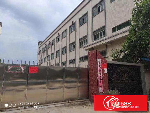 出租塘厦镇老区230平方厂房，公摊小，面积实在