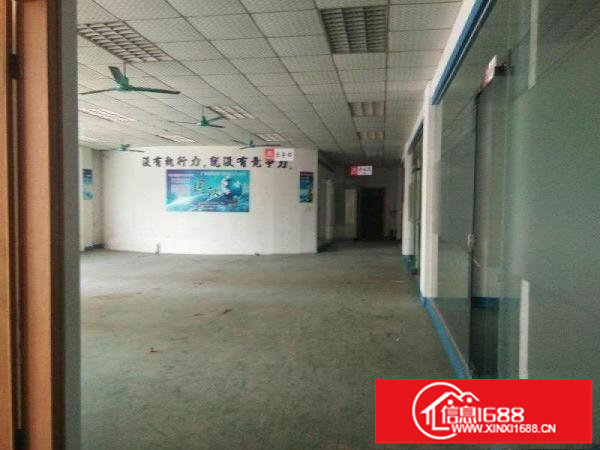 石井同富裕新出400平米起独院标准厂房招商