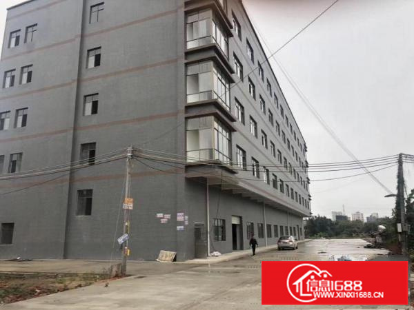 惠东全新标准厂房楼上2300平米便宜出租