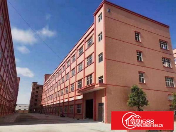 山厦红本带航车厂房出租两栋可分租800平方