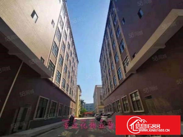 免租6个月政府扶持复工!真实有效!虎门高端产业园全新厂房分租