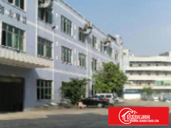 1000平方一楼楼房1栋2楼出租