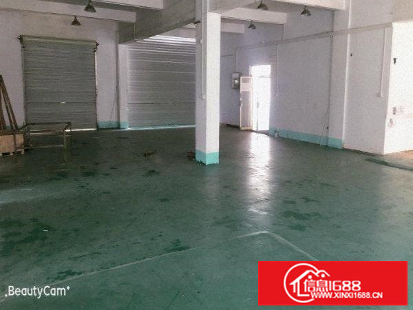 现成办公室！带地坪漆！空地超大！碧岭工业区新出一楼500平！