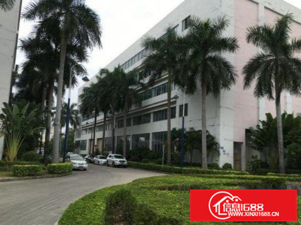 清溪铁松花园式原房东厂房6000平米带装修水电齐全