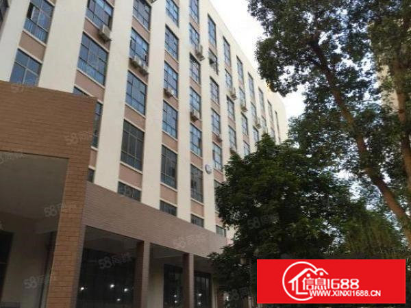 龙岗留学生创业科技产业园35000平米大小面积500平米起租