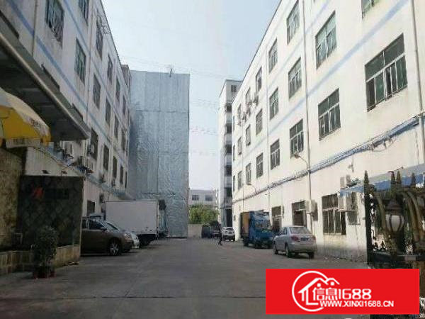 龙岗坪地中心村新出1800平无尘车间，形象靓