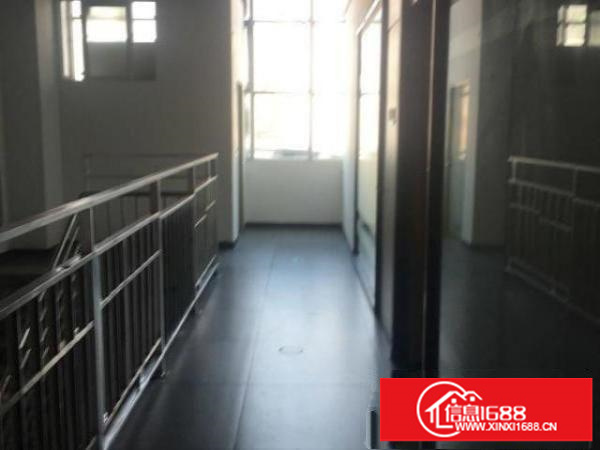 龙华新出来的做商业模式