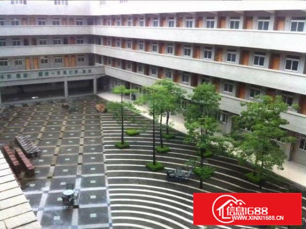 大岭山新出花园式厂房招租，双本齐全，超大空地，国道边。