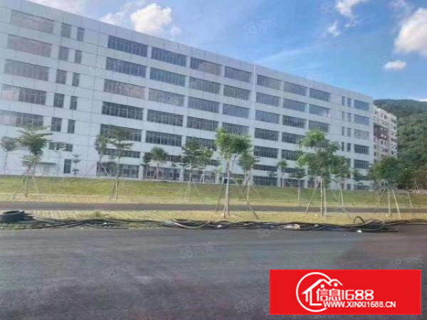 急租,清溪原房东独院总面积142000平米全新红本厂房出租