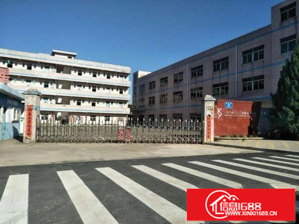 坪山碧岭经典小独院独院4000平现成水电出租