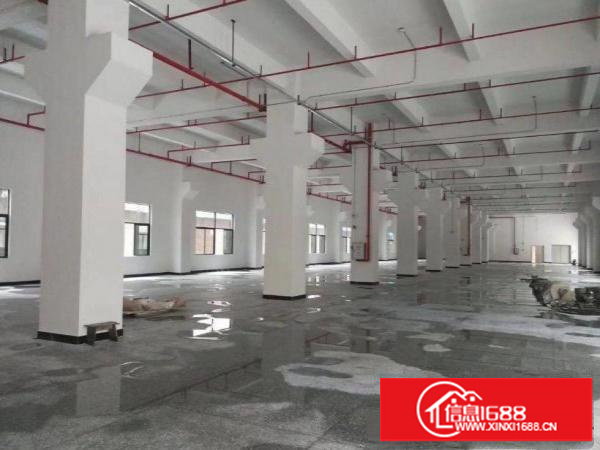 出租龙岗区坪地一楼6.5米高1800平带牛角