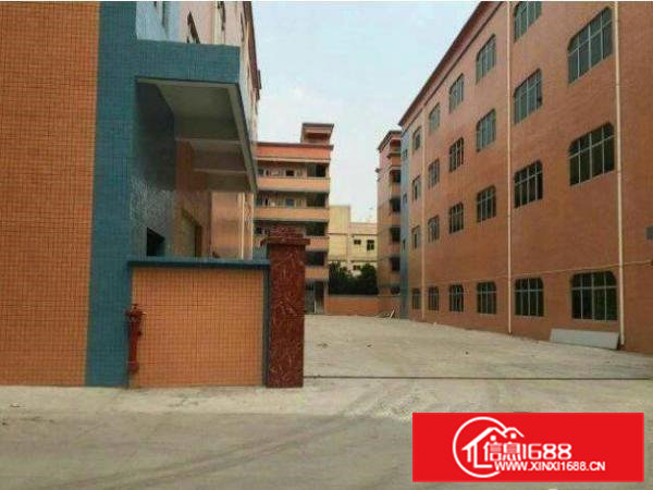 常平桥梓村标准厂房一楼2200平出租水电齐全交通方便环境优美