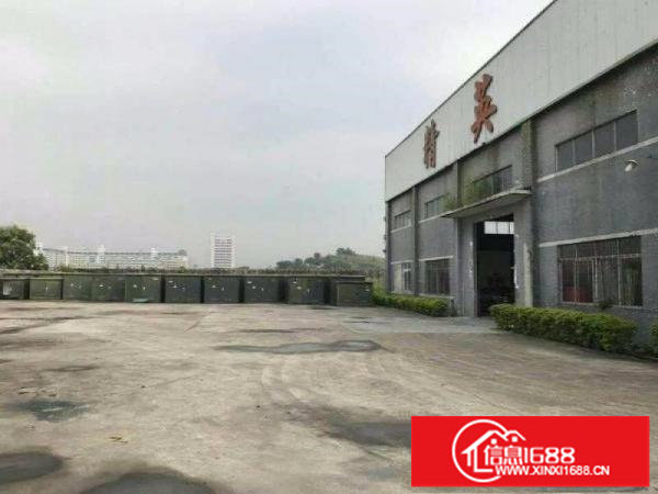 龙岗龙东原房东7米滴水，砖墙到顶，高大上钢构