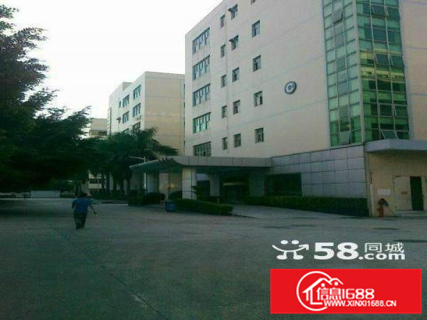 民治天汇大厦附近300.500.800平不等带装修